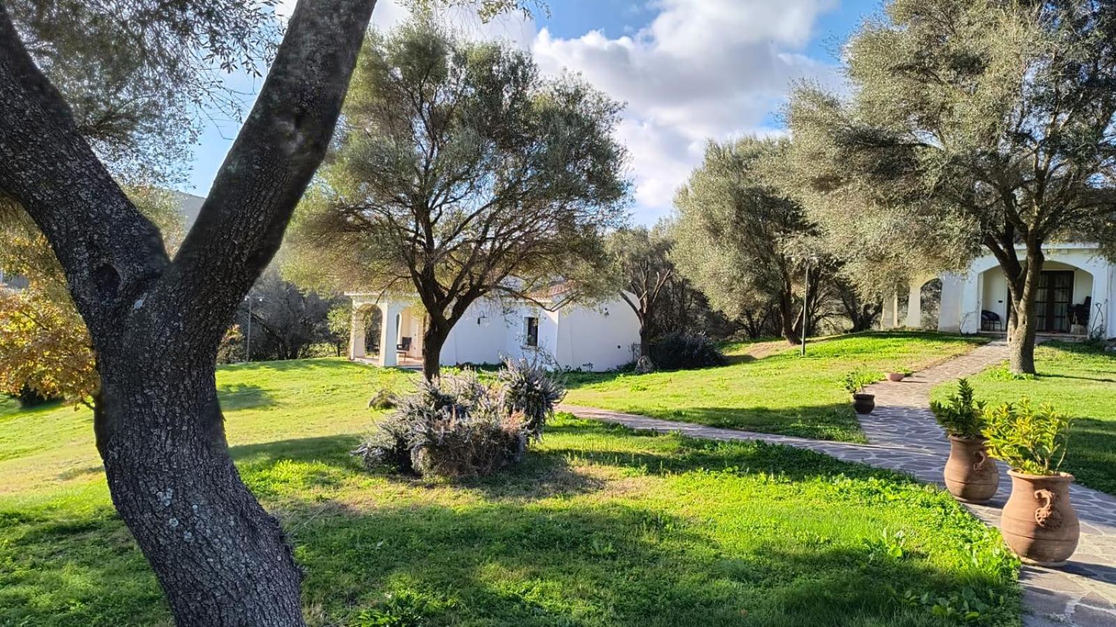 Tenuta Le Terre 1927 Guest House San Teodoro  Exterior foto